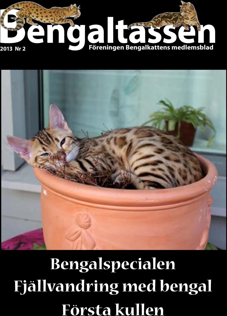 medlemsblad Bengalspecialen