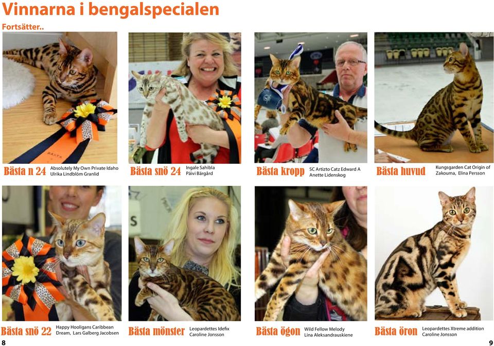 SC Artizto Catz Edward A Anette Lidenskog Bästa huvud Kungsgarden Cat Origin of Zakouma, Elina Persson Bästa snö 22 8 Happy