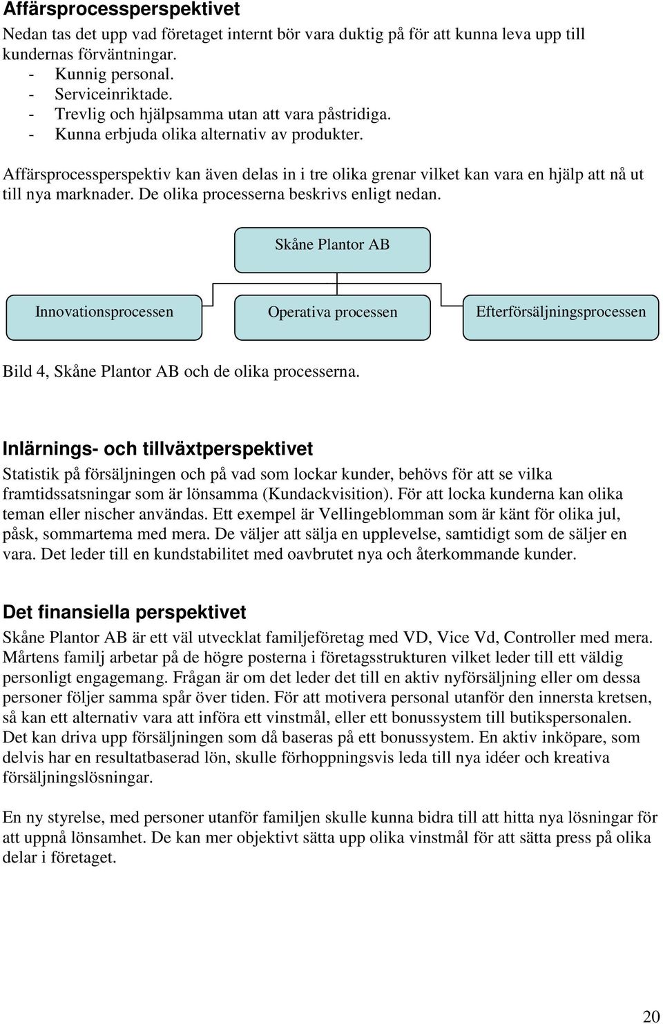 Affärsprocessperspektiv kan även delas in i tre olika grenar vilket kan vara en hjälp att nå ut till nya marknader. De olika processerna beskrivs enligt nedan.