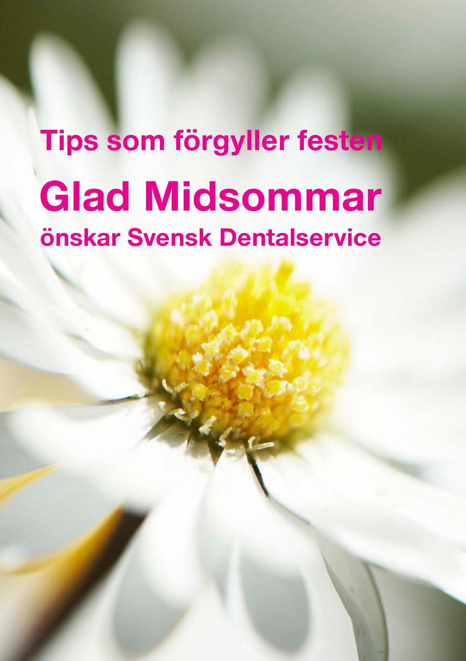 Glad Midsommar