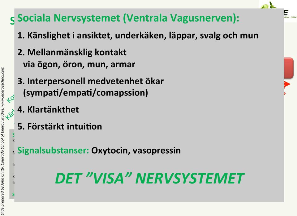 kormsol,adrenalin,noradrenalin SocialaIndikatorer: Känslighetiansiktet,underkäken,läppar, svalgochmun Mellanmänskligkontakt viaögon,öron,mun,armar Interpersonellmedvetenhetökar