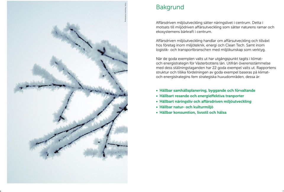 Affärsdriven miljöutveckling handlar om affärsutveckling och tillväxt hos företag inom miljöteknik, energi och Clean Tech. Samt inom logistik- och transportbranschen med miljökunskap som verktyg.