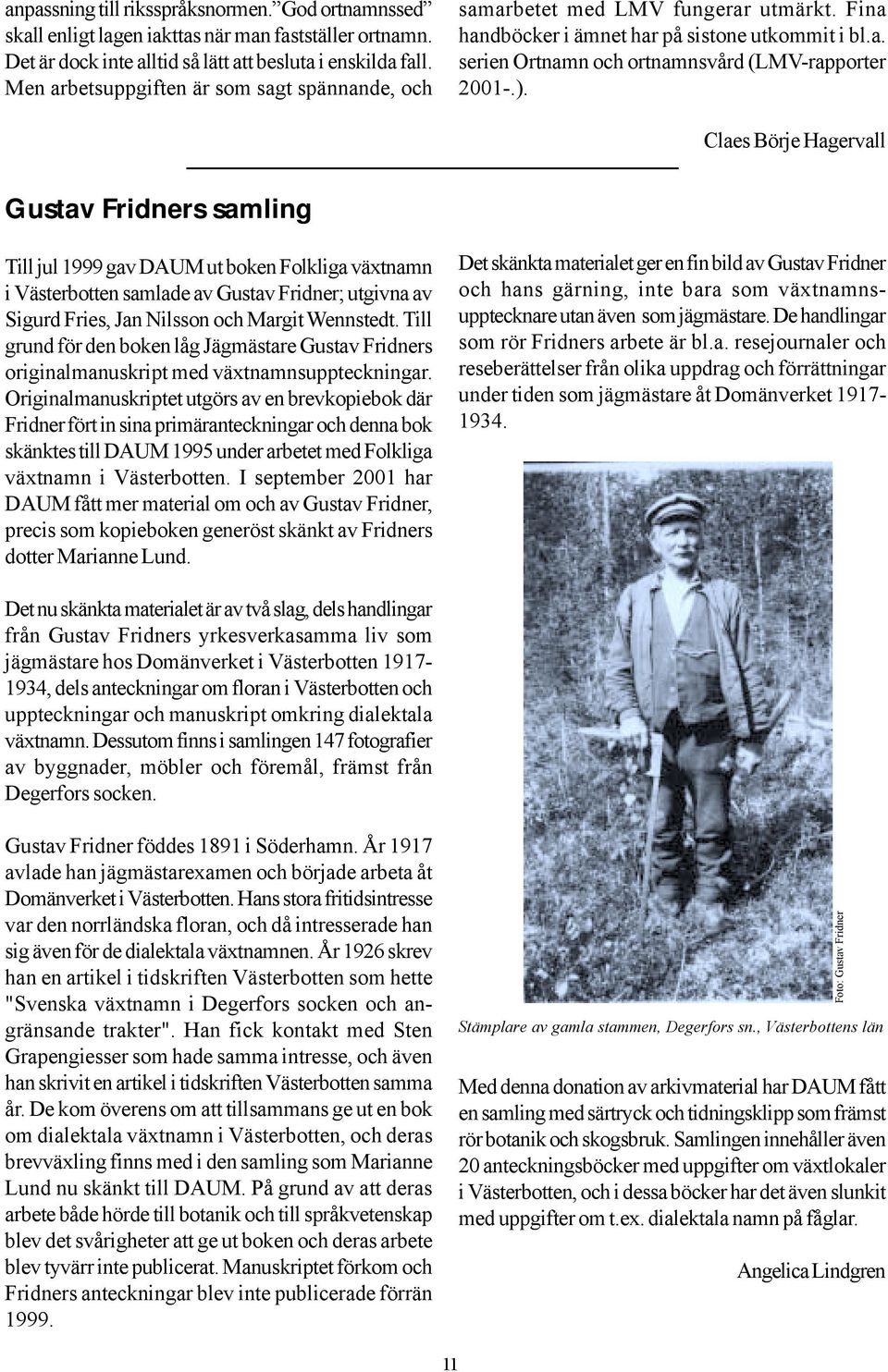 Claes Börje Hagervall Gustav Fridners samling Till jul 1999 gav DAUM ut boken Folkliga växtnamn i Västerbotten samlade av Gustav Fridner; utgivna av Sigurd Fries, Jan Nilsson och Margit Wennstedt.