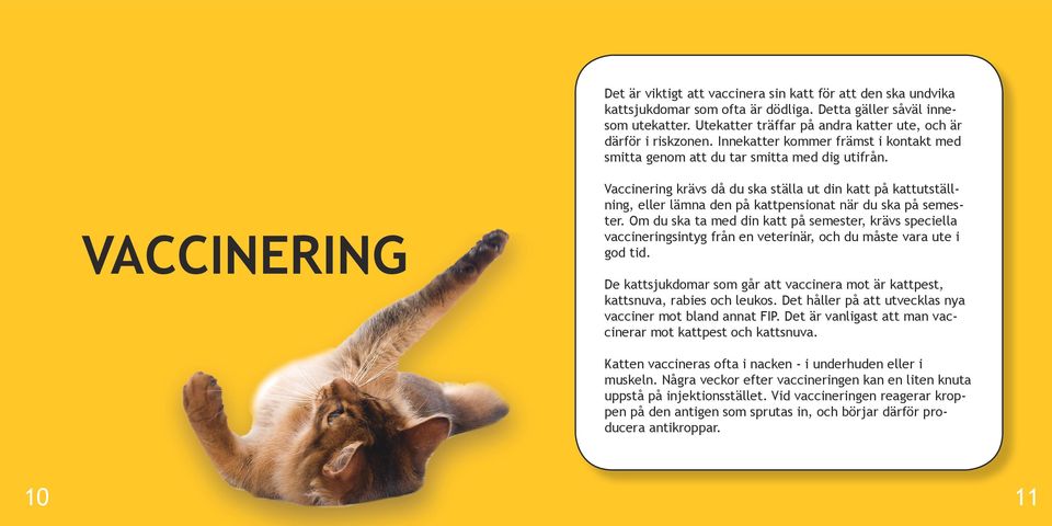 VACCINERING Vaccinering krävs då du ska ställa ut din katt på kattutställning, eller lämna den på kattpensionat när du ska på semester.