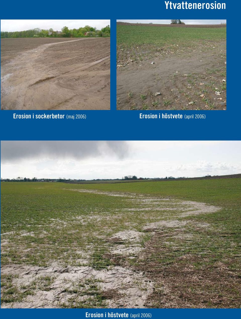 2006) Erosion i höstvete (april 2006)