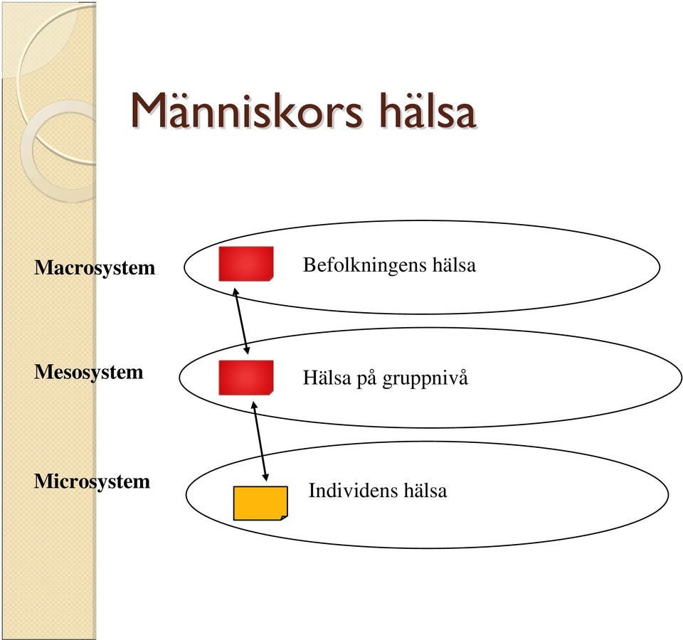 hälsa Mesosystem Hälsa på