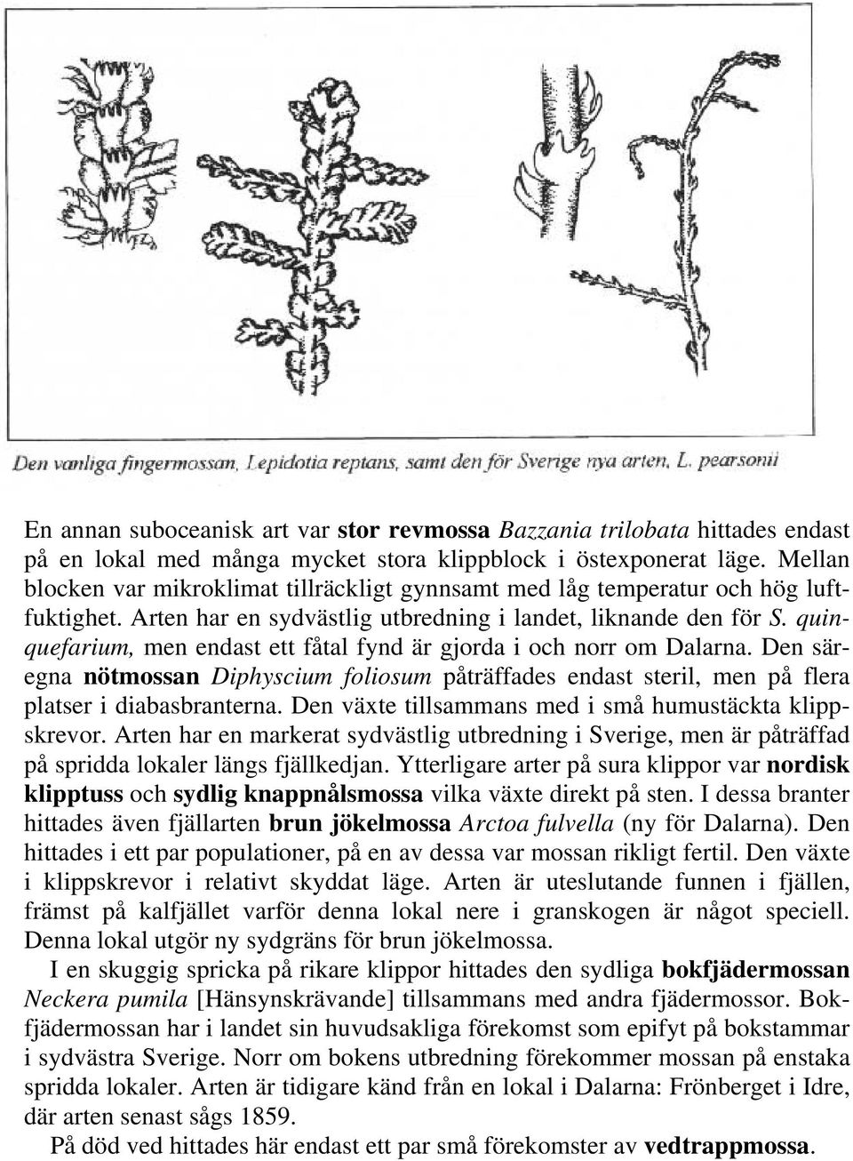 quinquefarium, men endast ett fåtal fynd är gjorda i och norr om Dalarna. Den säregna nötmossan Diphyscium foliosum påträffades endast steril, men på flera platser i diabasbranterna.