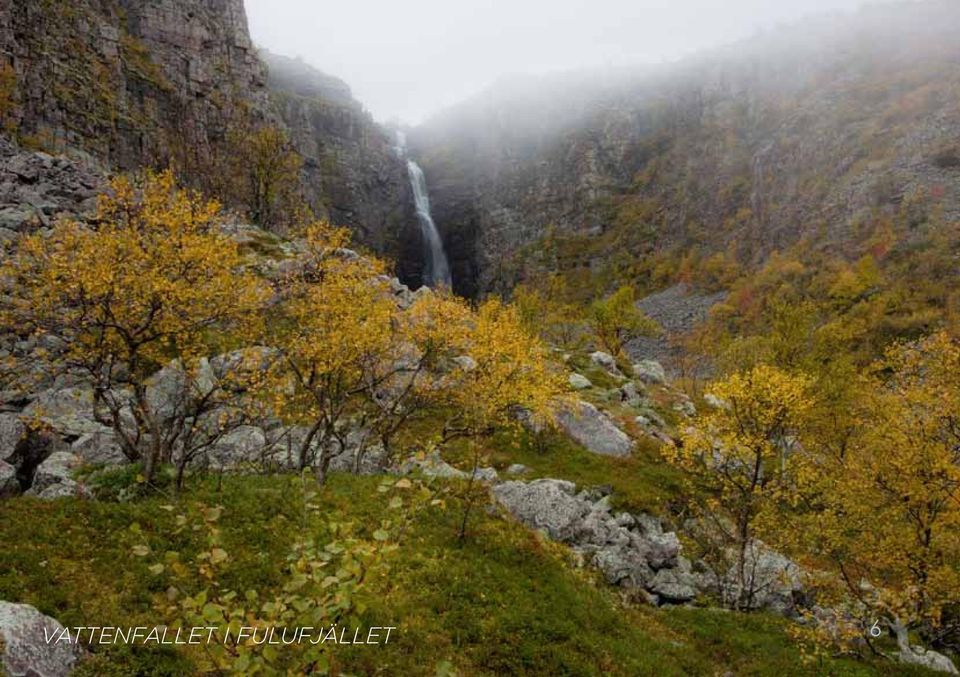 En nationalpark kan bara komma till genom samarbete med och acceptans hos