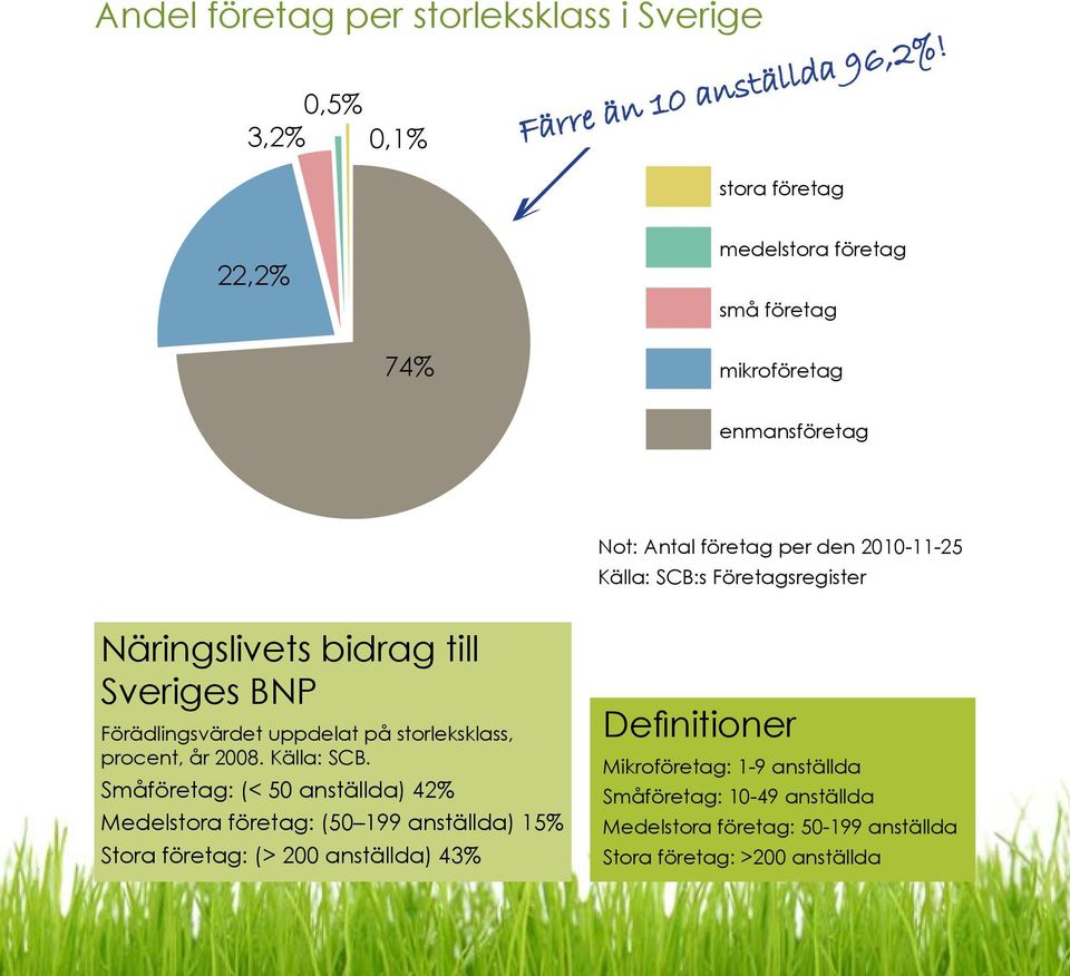 storleksklass, procent, år 2008. Källa: SCB.