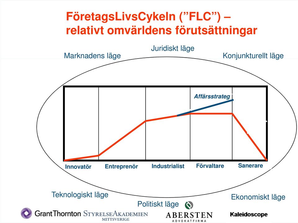 Affärsstrateg Innovatör Entreprenör Industrialist Förvaltare Sanerare