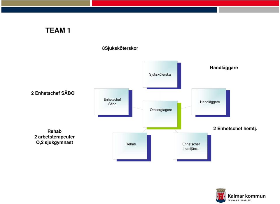 Omsorgtagare Rehab 2 arbetsterapeuter O,2