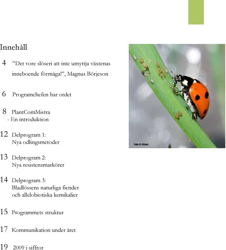 1: Nya odlingsmetoder 13 Delprogram 2: Nya resistensmarkörer 14 Delprogram 3: Bladlössens