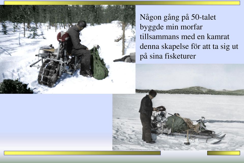 kamrat denna skapelse för att
