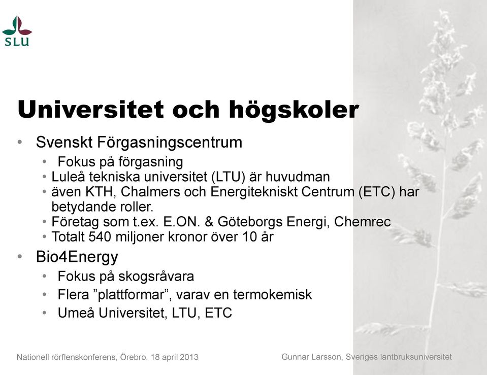 betydande roller. Företag som t.ex. E.ON.