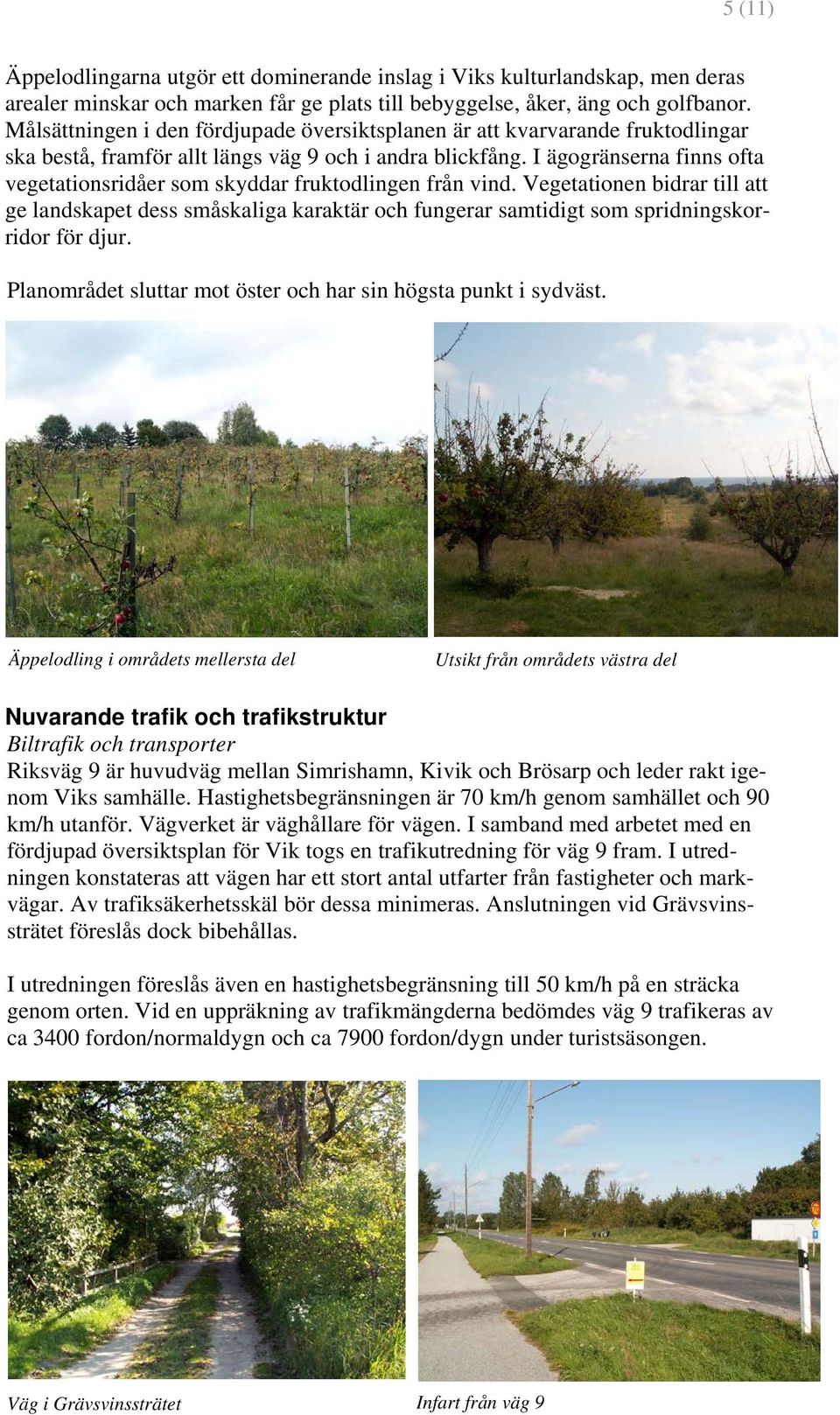 I ägogränserna finns ofta vegetationsridåer som skyddar fruktodlingen från vind.