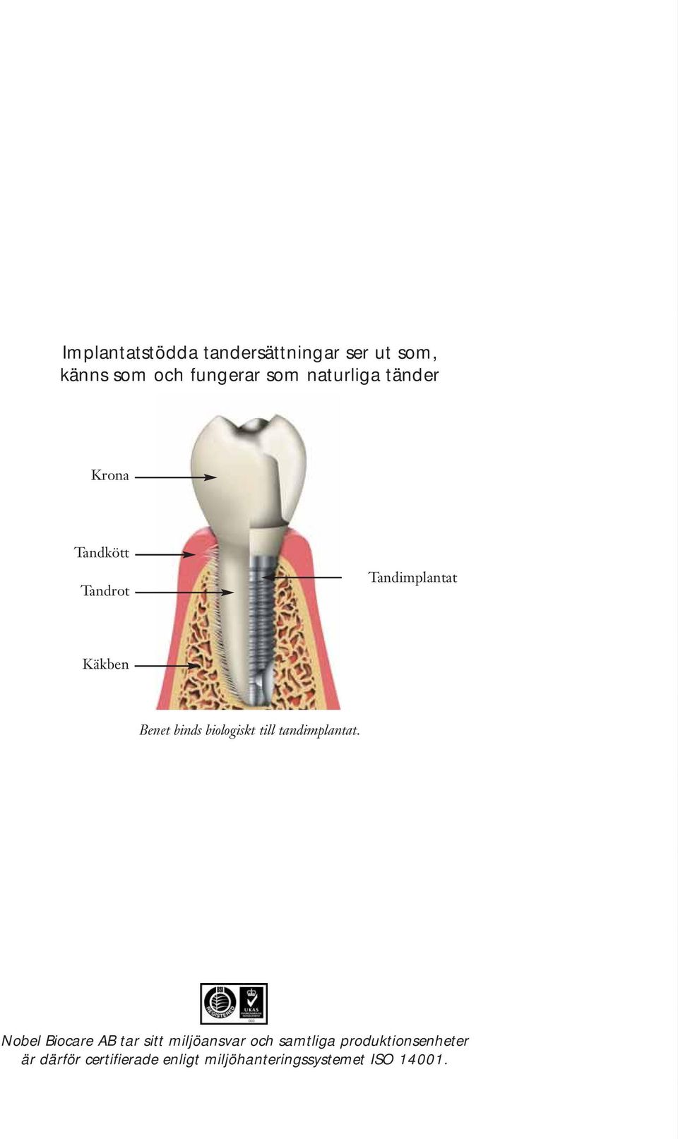 biologiskt till tandimplantat.