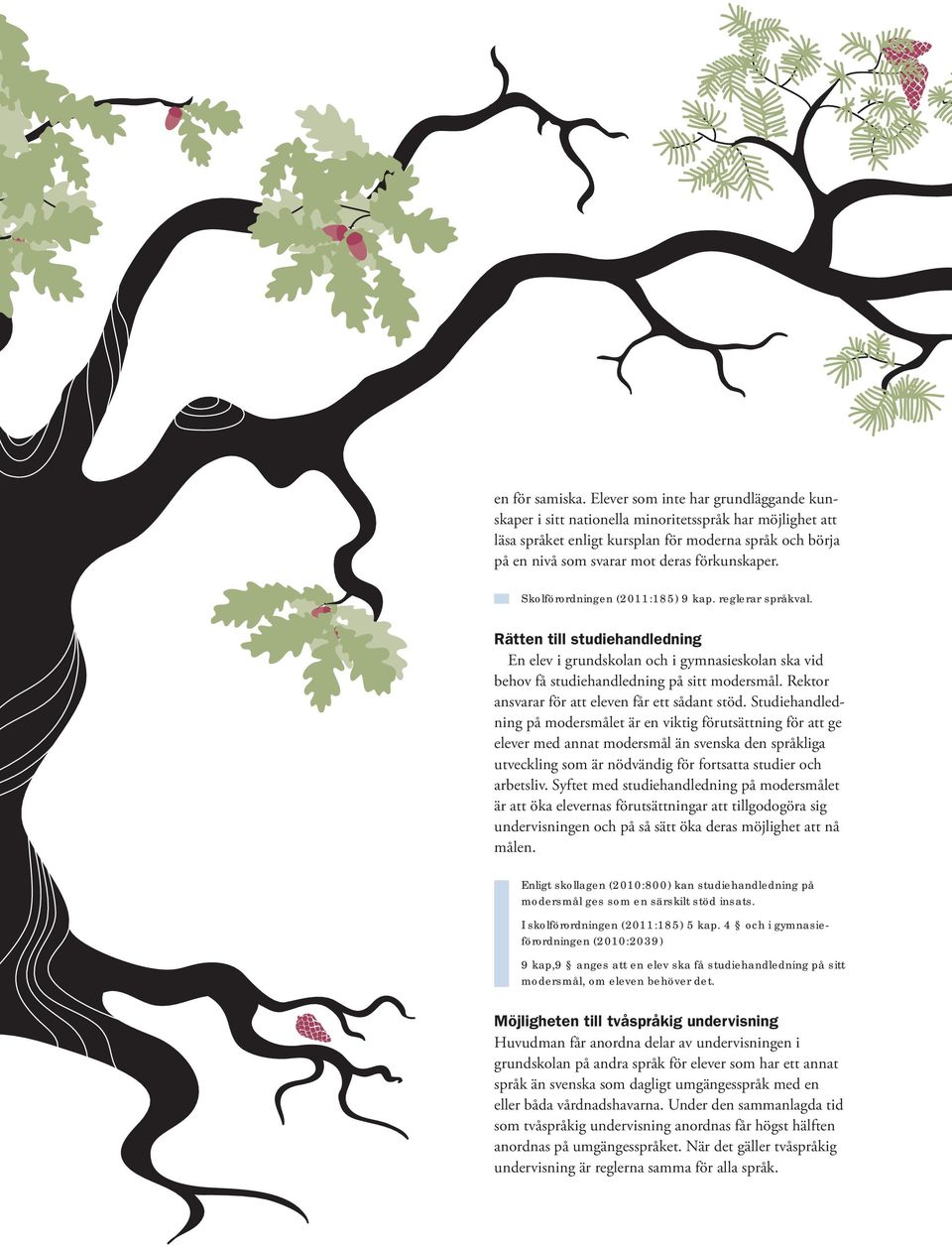 Skolförordningen (2011:185) 9 kap. reglerar språkval. Rätten till studiehandledning En elev i grundskolan och i gymnasieskolan ska vid behov få studiehandledning på sitt modersmål.