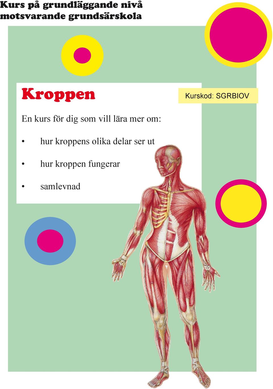 vill lära mer om: hur kroppens olika