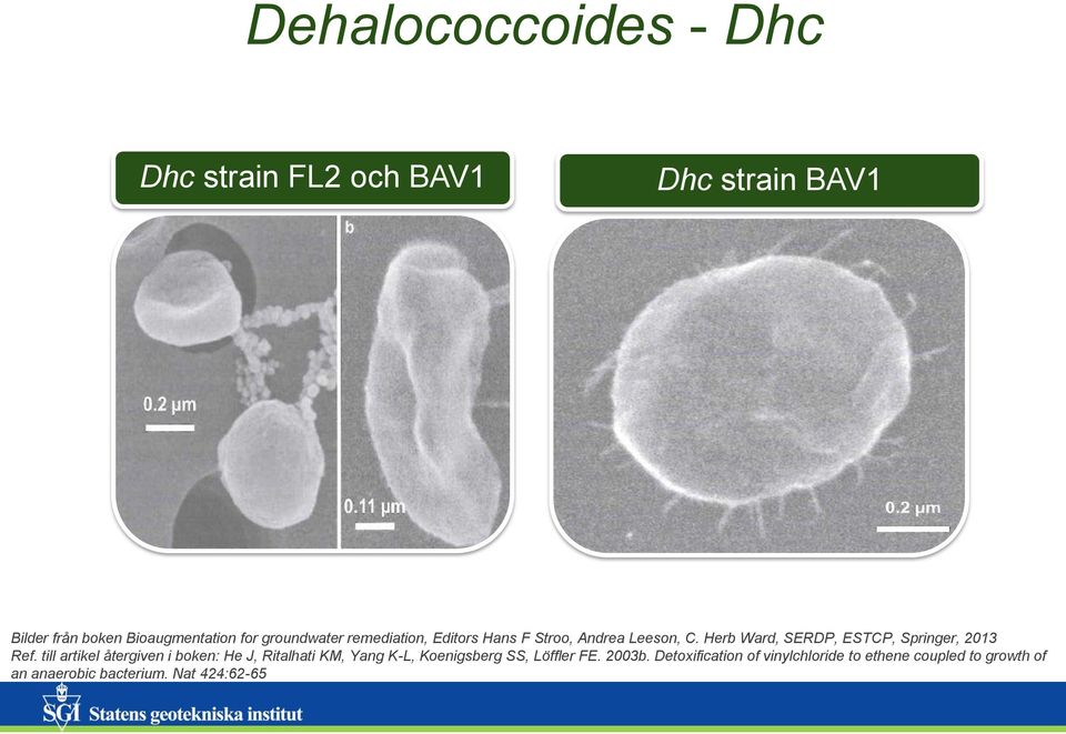 Herb Ward, SERDP, ESTCP, Springer, 2013 Ref.