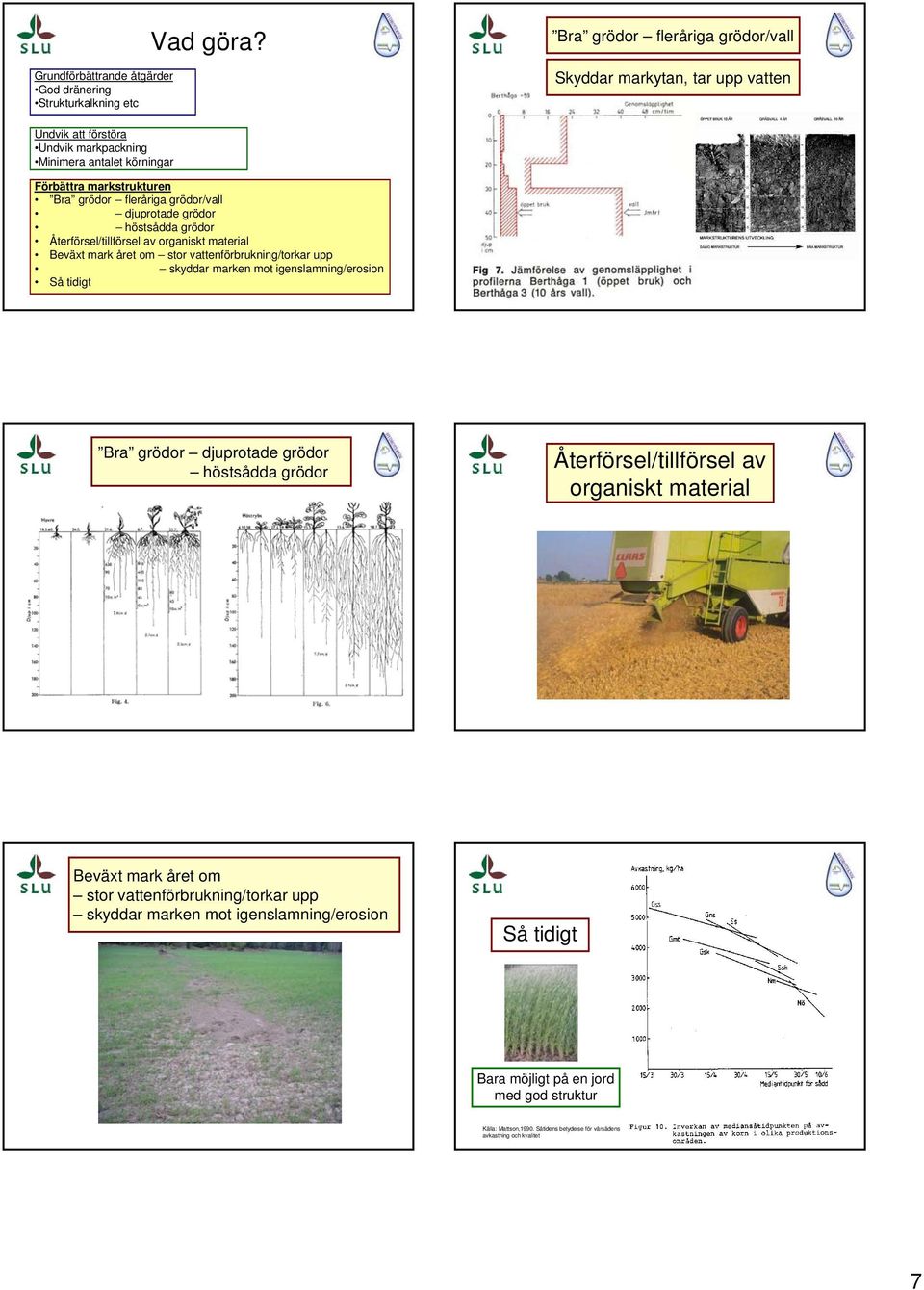 vattenförbrukning/torkar upp skyddar marken mot igenslamning/erosion Så tidigt Bra grödor djuprotade grödor höstsådda grödor Återförsel/tillförsel av organiskt material Beväxt mark