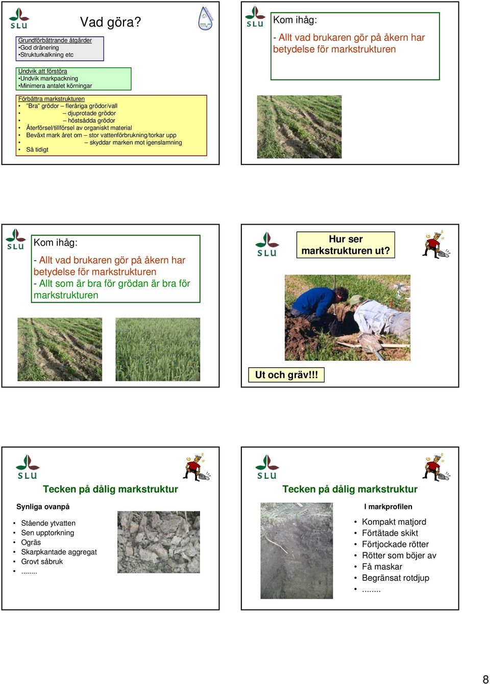marken mot igenslamning Så tidigt Kom ihåg: - Allt vad brukaren gör på åkern har betydelse för markstrukturen - Allt som är bra för grödan är bra för markstrukturen Hur ser markstrukturen ut?