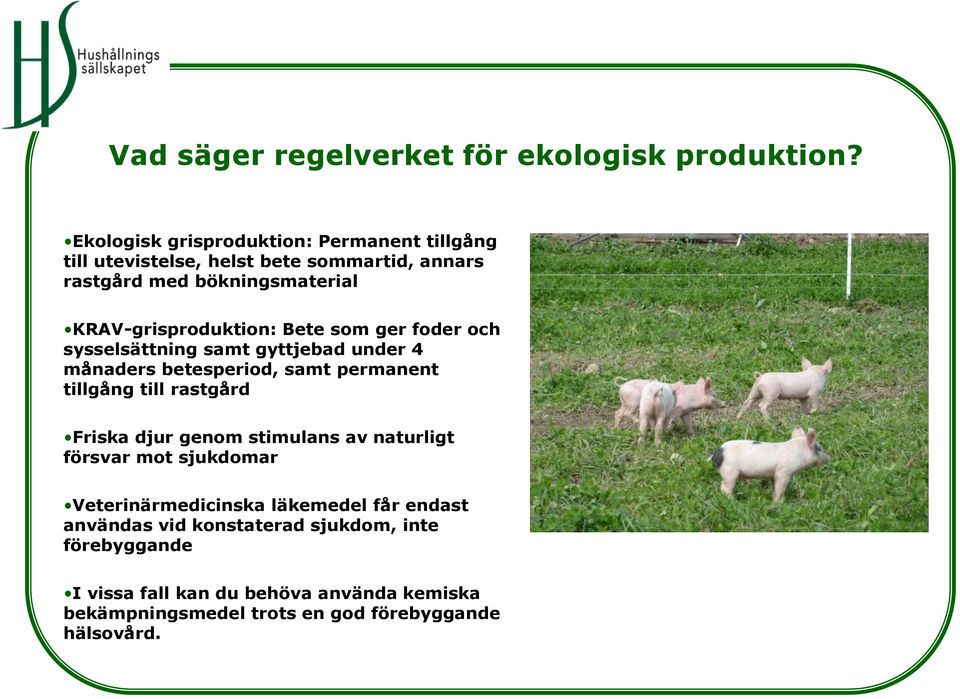 KRAV-grisproduktion: Bete som ger foder och sysselsättning samt gyttjebad under 4 månaders betesperiod, samt permanent tillgång till