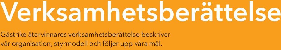 verksamhetsberättelse beskriver