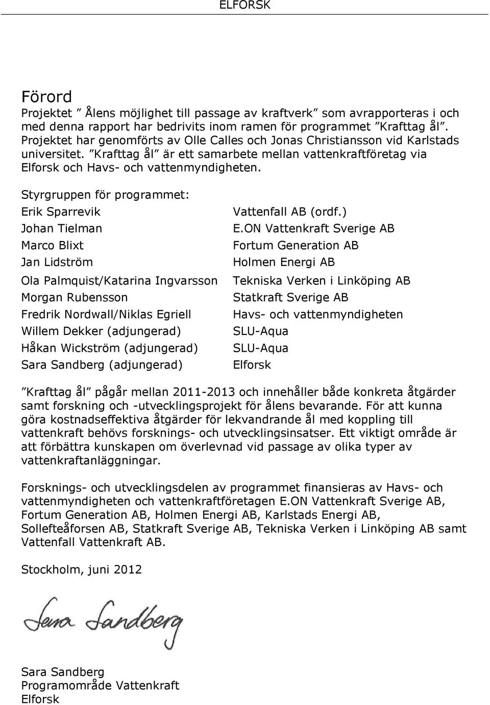 Styrgruppen för programmet: Erik Sparrevik Johan Tielman Marco Blixt Jan Lidström Ola Palmquist/Katarina Ingvarsson Morgan Rubensson Fredrik Nordwall/Niklas Egriell Willem Dekker (adjungerad) Håkan