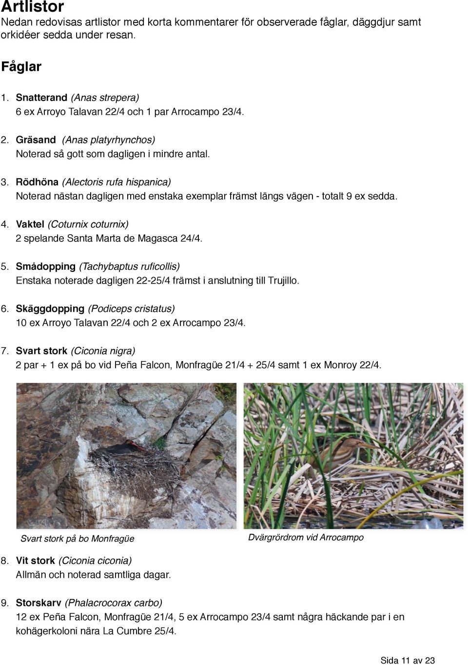 Rödhöna (Alectoris rufa hispanica) Noterad nästan dagligen med enstaka exemplar främst längs vägen - totalt 9 ex sedda. 4. Vaktel (Coturnix coturnix) 2 spelande Santa Marta de Magasca 24/4. 5.