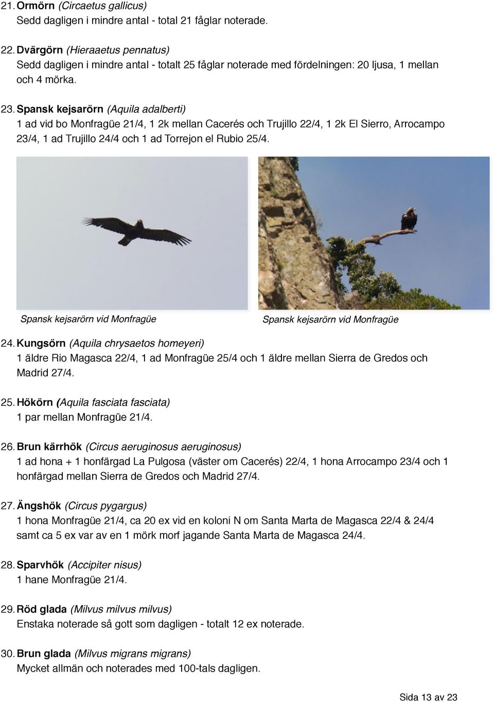 Spansk kejsarörn (Aquila adalberti) 1 ad vid bo Monfragüe 21/4, 1 2k mellan Cacerés och Trujillo 22/4, 1 2k El Sierro, Arrocampo 23/4, 1 ad Trujillo 24/4 och 1 ad Torrejon el Rubio 25/4.