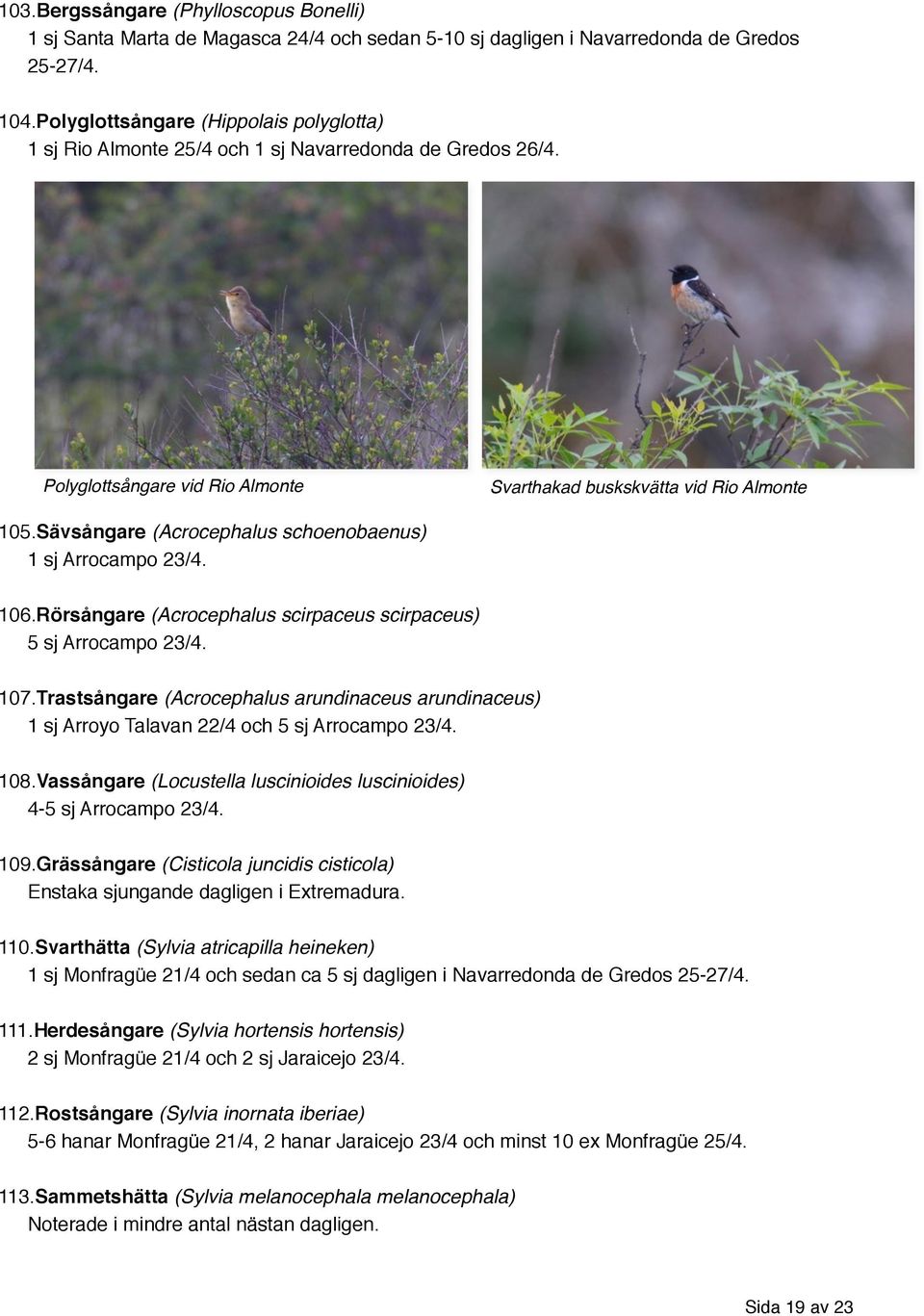 Sävsångare (Acrocephalus schoenobaenus) 1 sj Arrocampo 23/4. 106.Rörsångare (Acrocephalus scirpaceus scirpaceus) 5 sj Arrocampo 23/4. 107.