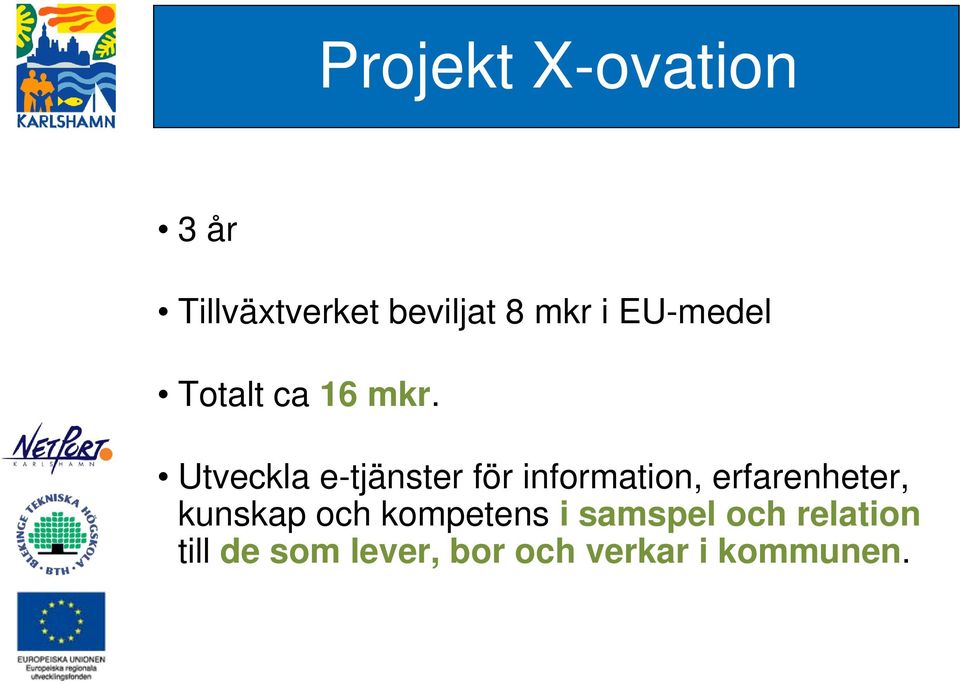 Utveckla e-tjänster för information, erfarenheter,