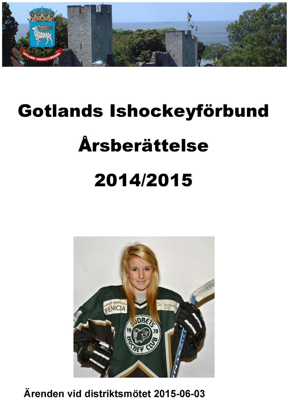 Årsberättelse