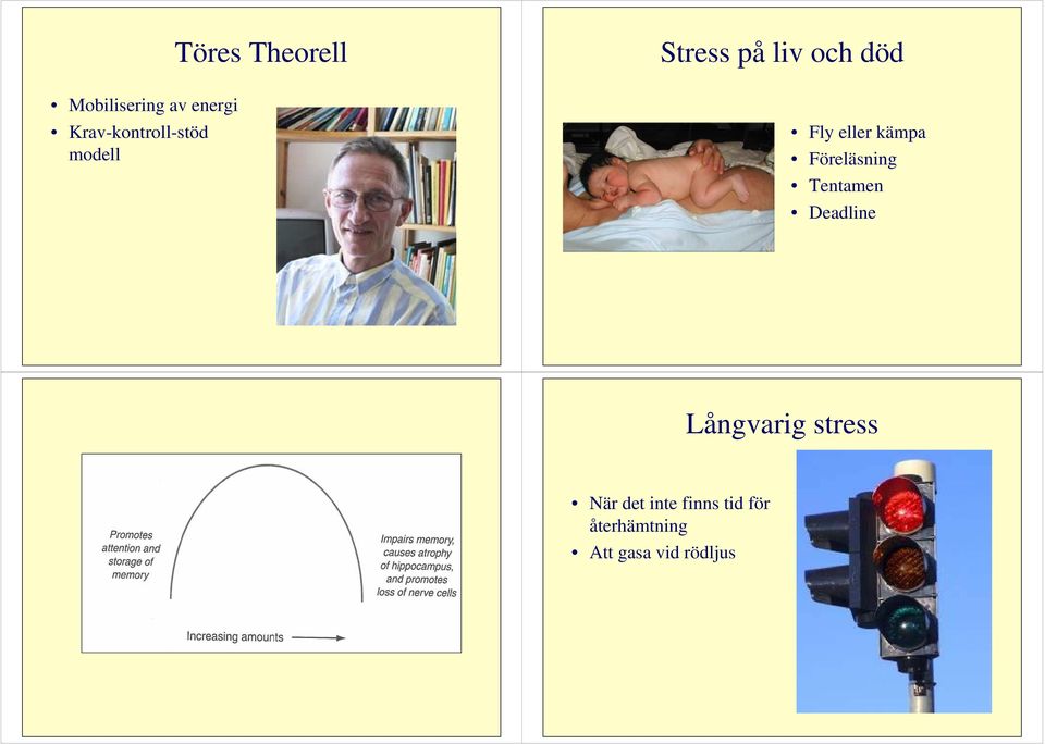 Föreläsning Tentamen Deadline Långvarig stress När