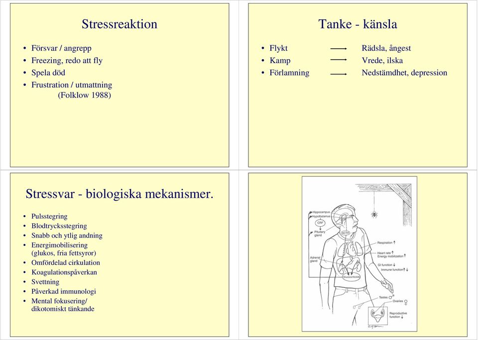 biologiska mekanismer.