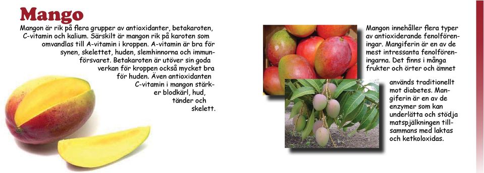 Även antioxidanten C-vitamin i mangon stärker blodkärl, hud, tänder och skelett. Mangon innehåller flera typer av antioxiderande fenolföreningar.