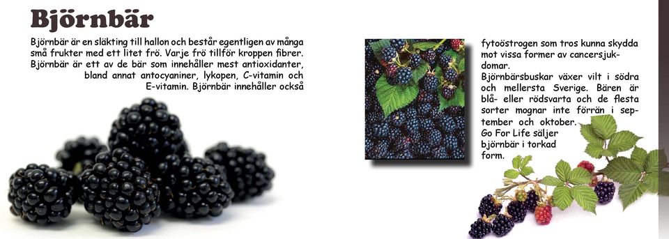 Björnbär är ett av de bär som innehåller mest antioxidanter, bland annat antocyaniner, lykopen, C-vitamin och E-vitamin.