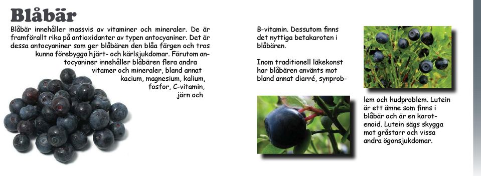 Förutom antocyaniner innehåller blåbären flera andra vitamer och mineraler, bland annat kacium, magnesium, kalium, fosfor, C-vitamin, järn och B-vitamin.