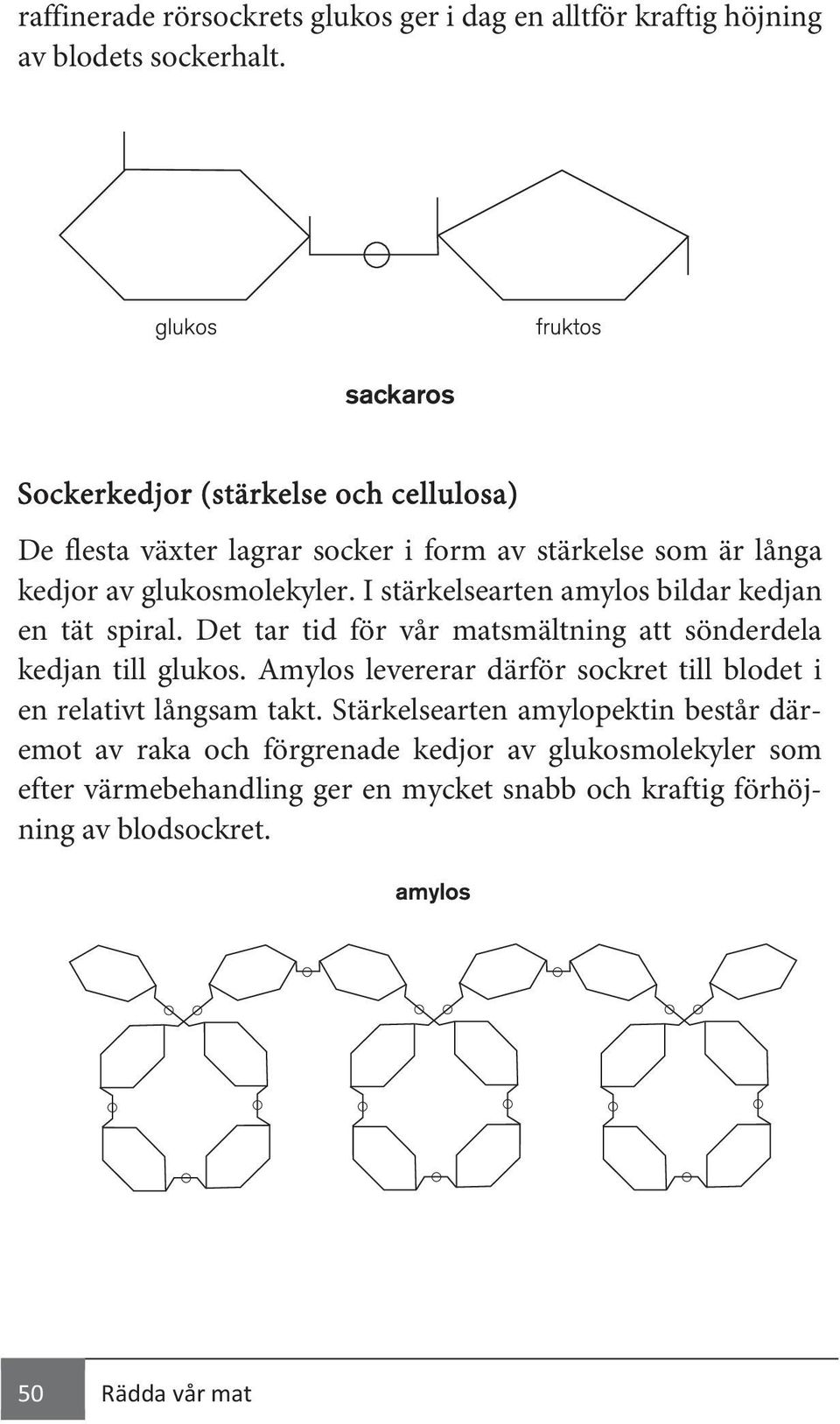 I stärkelsearten amylos bildar kedjan en tät spiral. Det tar tid för vår matsmältning att sönderdela kedjan till glukos.