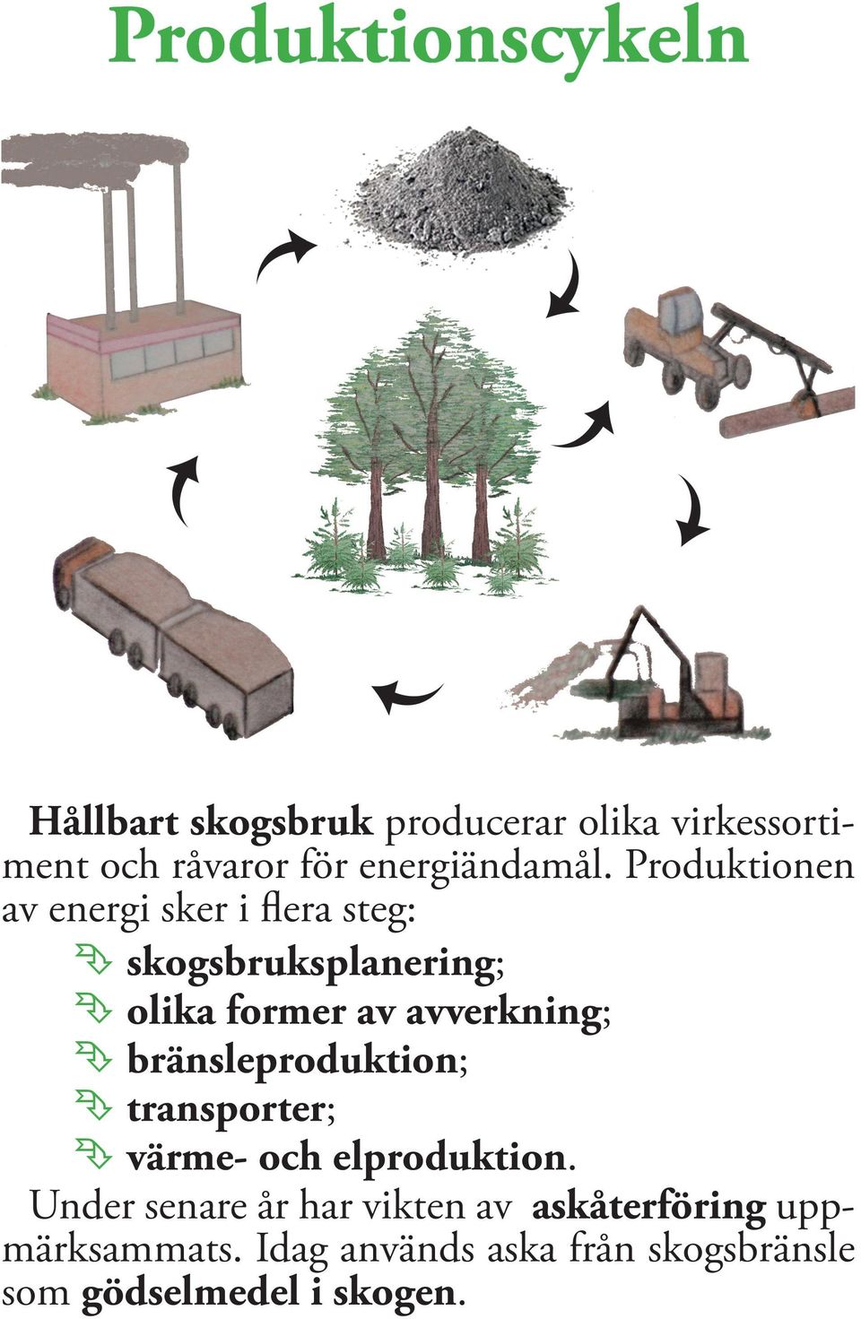 Produktionen av energi sker i flera steg: skogsbruksplanering; olika former av avverkning;