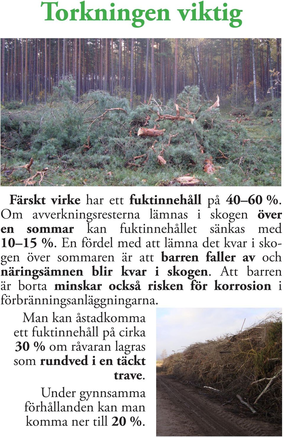 En fördel med att lämna det kvar i skogen över sommaren är att barren faller av och näringsämnen blir kvar i skogen.