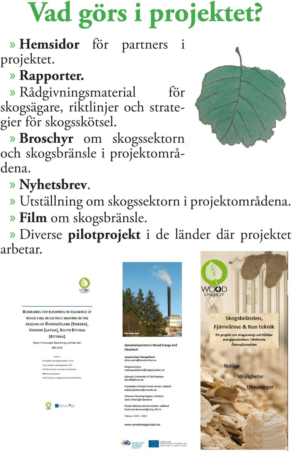 Broschyr om skogssektorn och skogsbränsle i projektområdena. Nyhetsbrev.