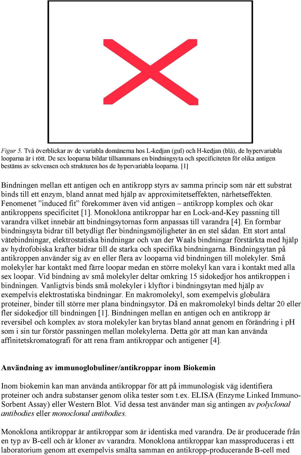 [1] Bindningen mellan ett antigen och en antikropp styrs av samma princip som när ett substrat binds till ett enzym, bland annat med hjälp av approximitetseffekten, närhetseffekten.