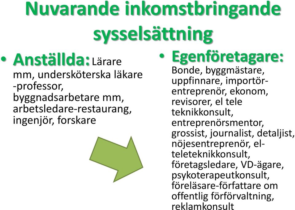 ekonom, revisorer, el tele teknikkonsult, entreprenörsmentor, grossist, journalist, detaljist, nöjesentreprenör,