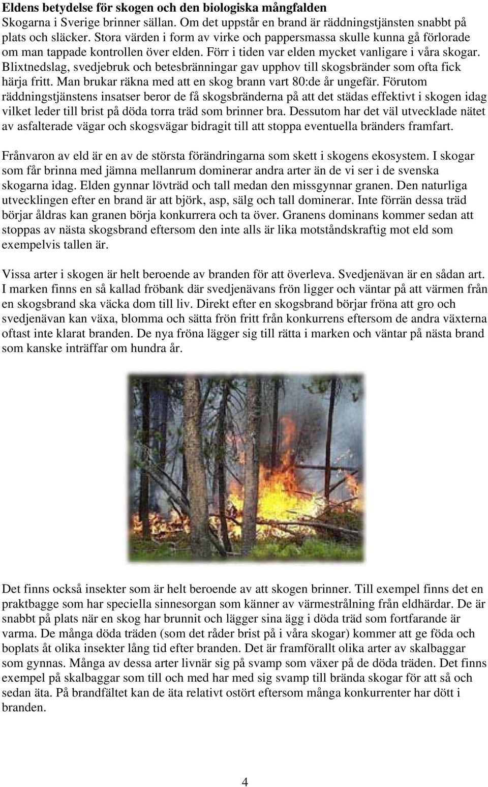 Blixtnedslag, svedjebruk och betesbränningar gav upphov till skogsbränder som ofta fick härja fritt. Man brukar räkna med att en skog brann vart 80:de år ungefär.