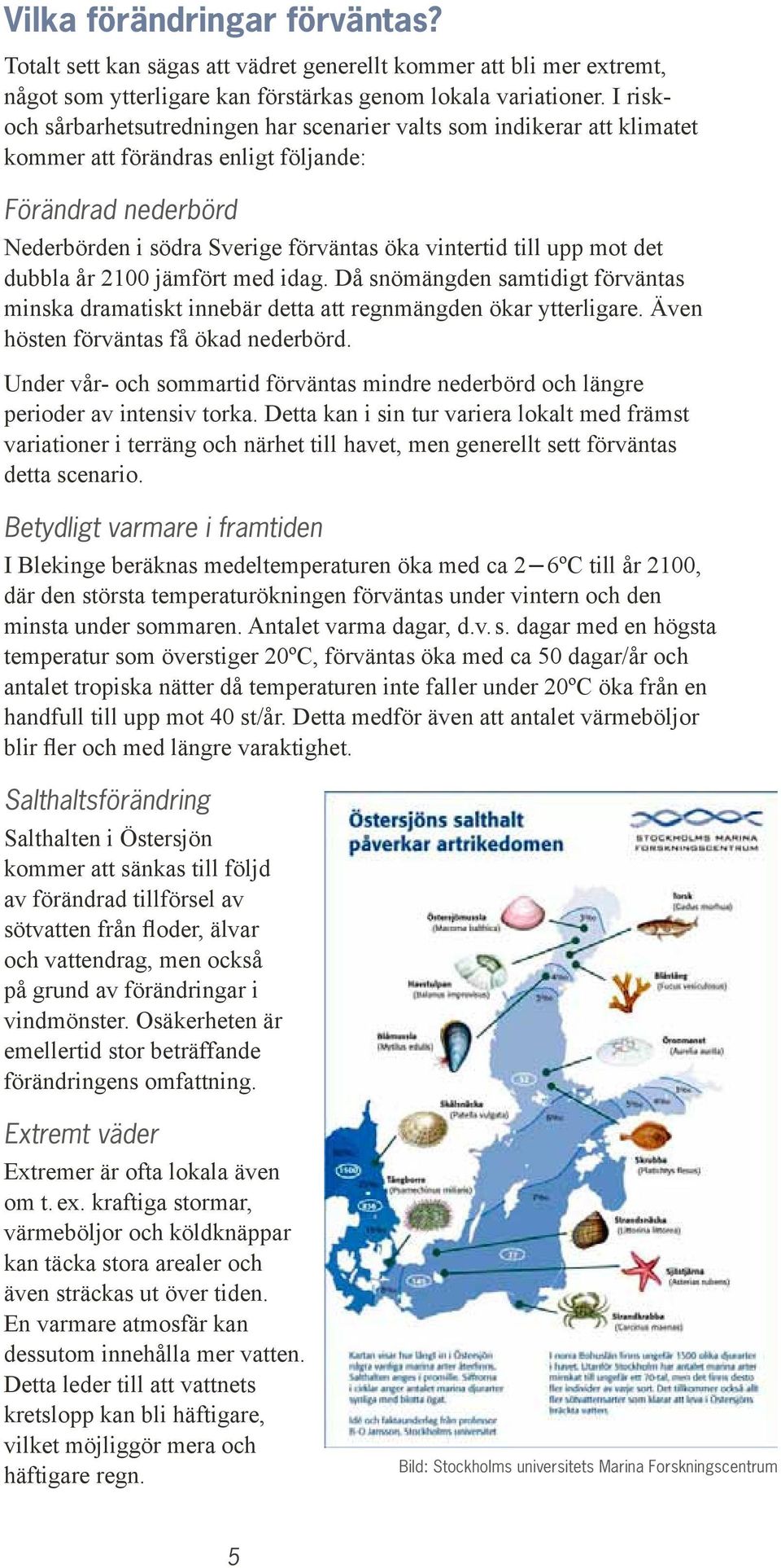 mot det dubbla år 2100 jämfört med idag. Då snömängden samtidigt förväntas minska dramatiskt innebär detta att regnmängden ökar ytterligare. Även hösten förväntas få ökad nederbörd.