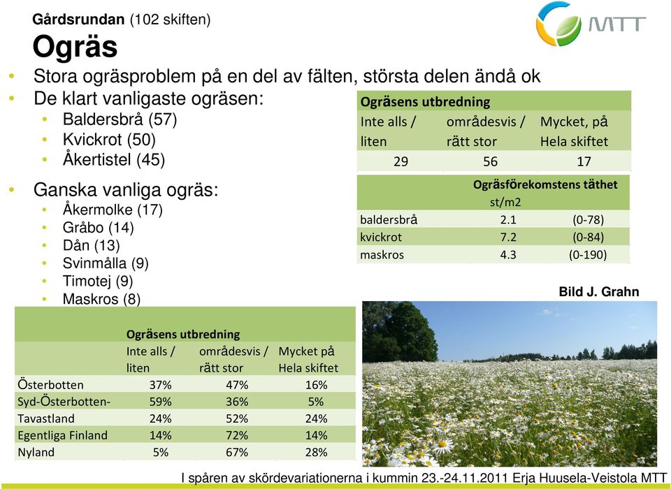 Ogräsens utbredning Inte alls / områdesvis / Mycket på liten rätt stor Hela skiftet Österbotten 37% 47% 16% Syd-Österbotten- 59% 36% 5% Tavastland 24% 52% 24%