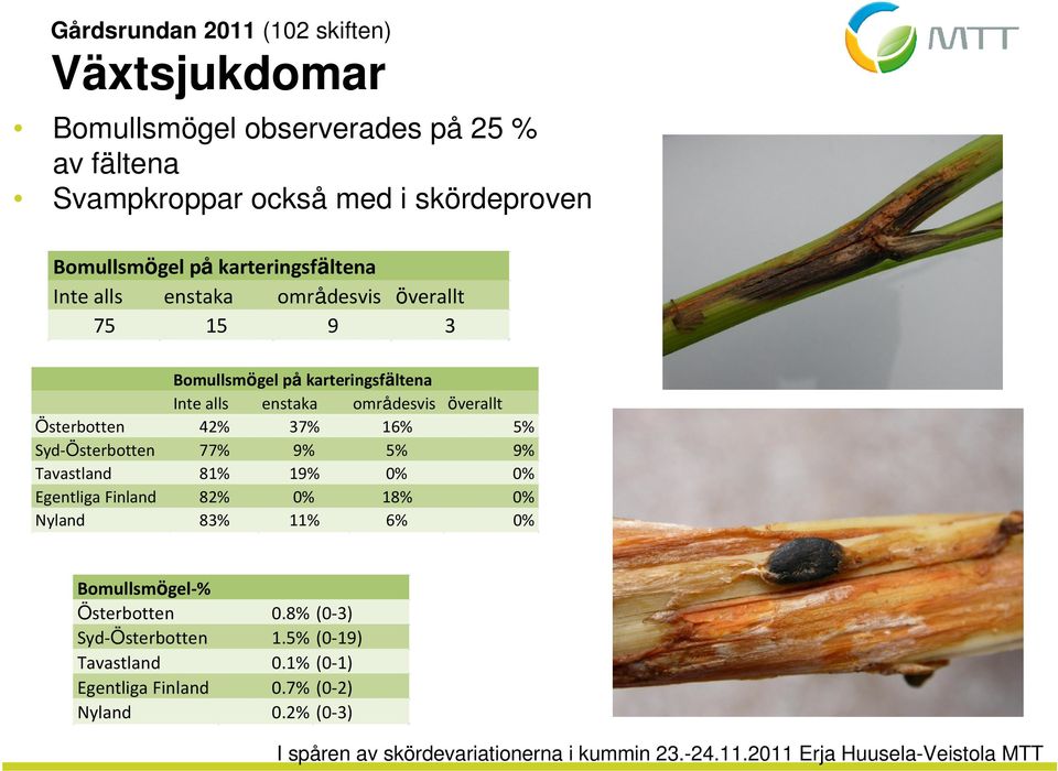 områdesvis överallt Österbotten 42% 37% 16% 5% Syd-Österbotten 77% 9% 5% 9% Tavastland 81% 19% 0% 0% Egentliga Finland 82% 0% 18% 0%