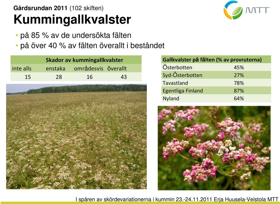 enstaka områdesvis överallt 15 28 16 43 Gallkvalster på fälten (% av provrutorna)