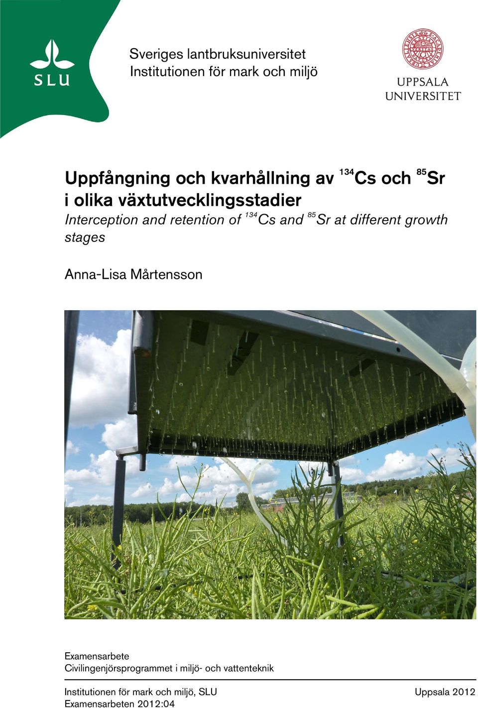 85 Sr at different growth stages Anna-Lisa Mårtensson Examensarbete Civilingenjörsprogrammet